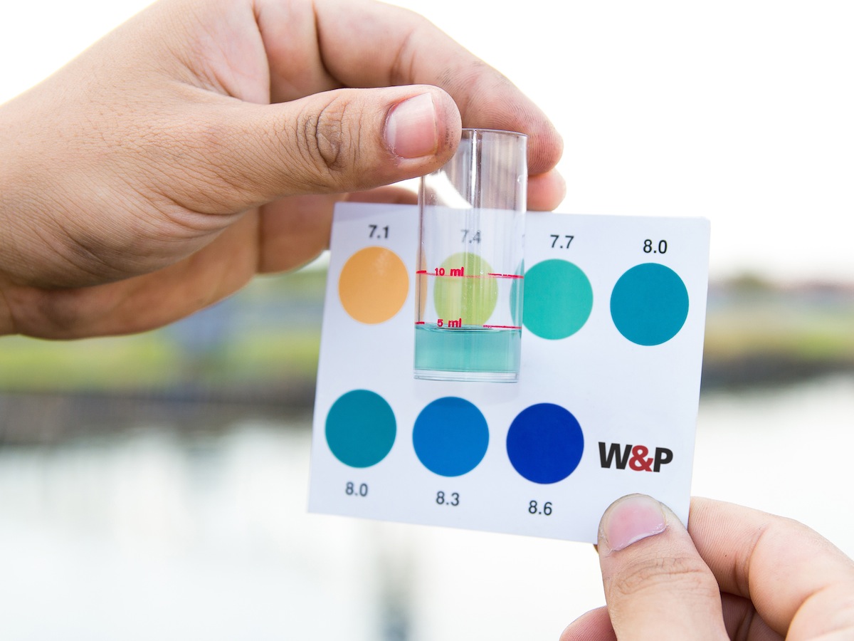 Neuroscience at work: the next source of competitive advantage