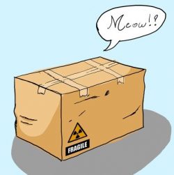 Curiosity killed the stat