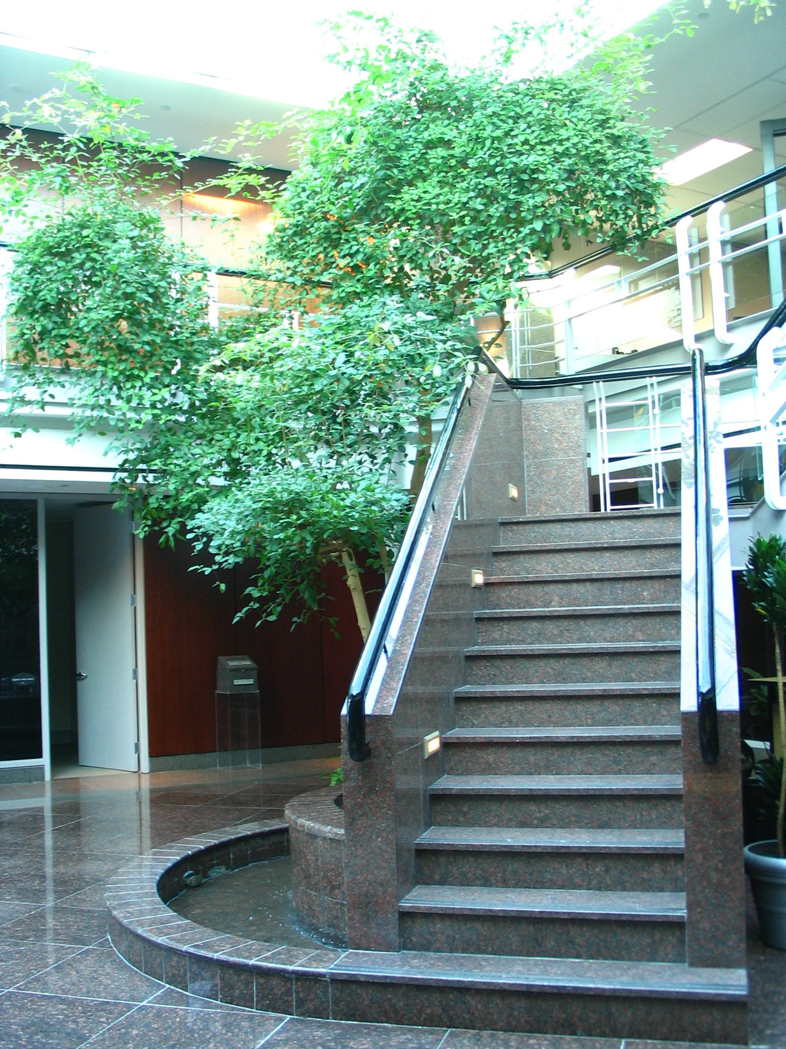 Biophilia might be one of the keys to wellbeing and productivity